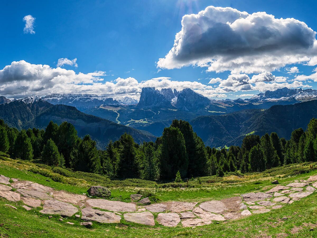 Panoramablick auf die Dolomiten mit einem Steinpfad durch eine grüne Wiese und Kiefernwald unter blauem Himmel.