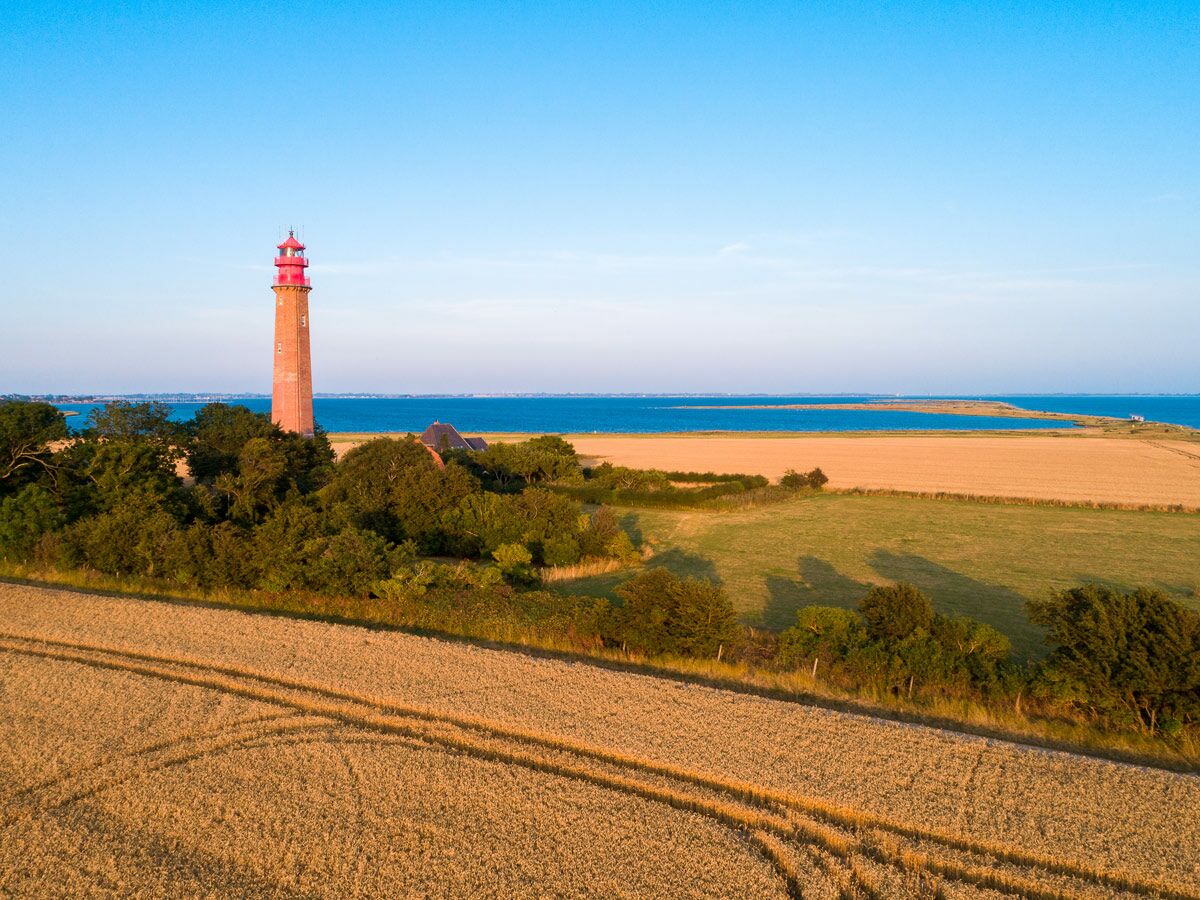 Roter Leuchtturm an Küste mit goldenen Feldern und blauem Meer unter strahlendem Himmel in friedlicher Landschaft.