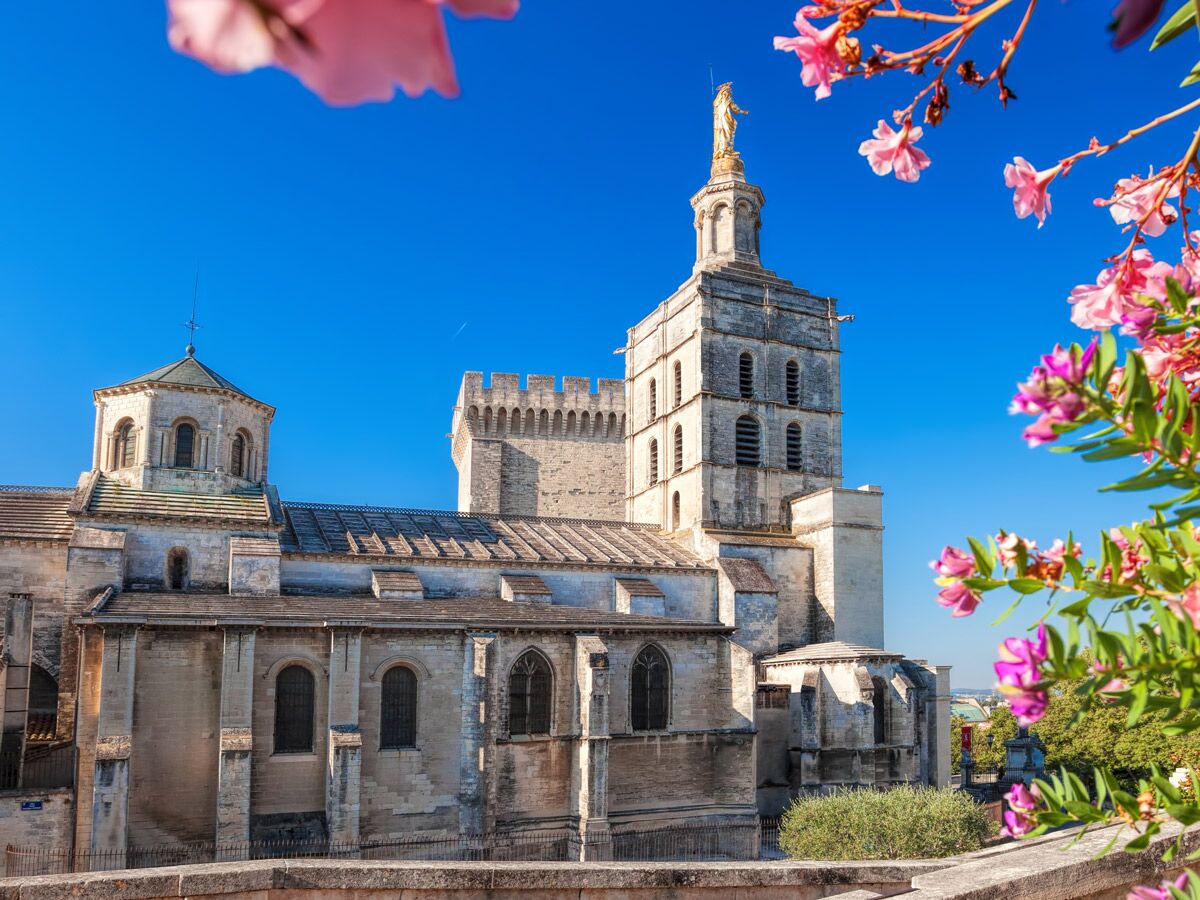Kathedrale Notre-Dame des Doms Avignon mit goldener Marienstatue auf dem Glockenturm, blauer Himmel und rosa Blüten.