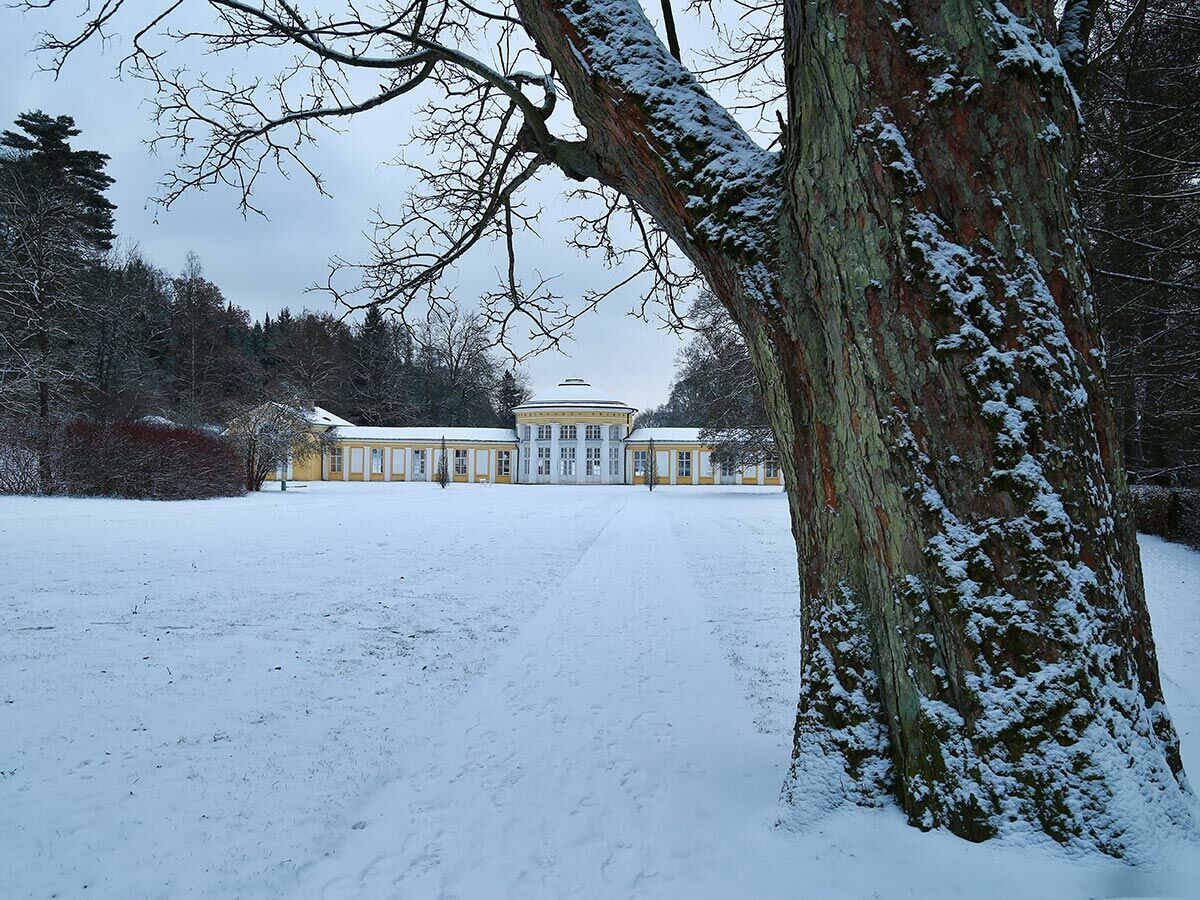 Alter verschneiter Baumstamm im Vordergrund mit gelb-weißem, historischem Gebäude im Winterpark unter grauem Himmel.
