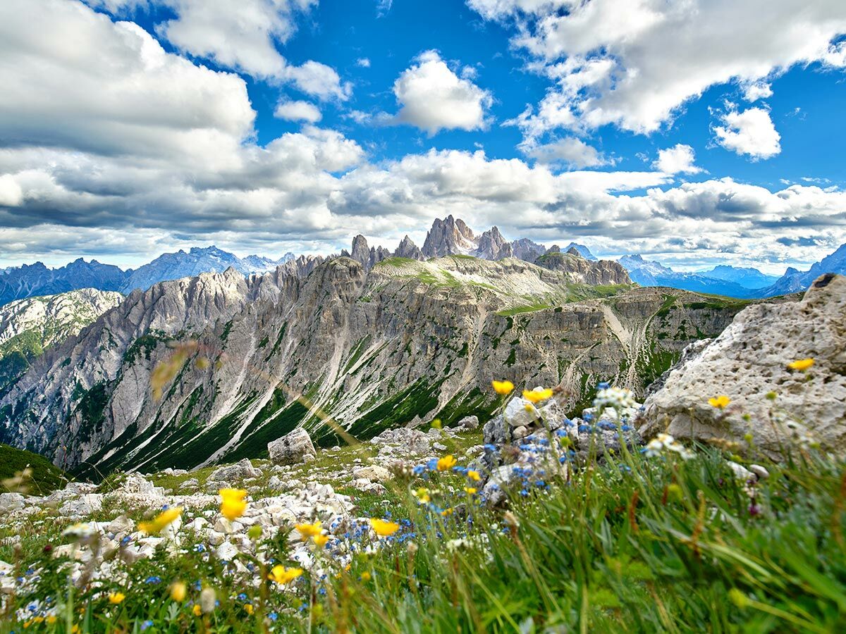 Majestätische Dolomiten-Landschaft mit schroffen Gipfeln und blühenden Wiesen unter blauem Himmel mit Wolken.