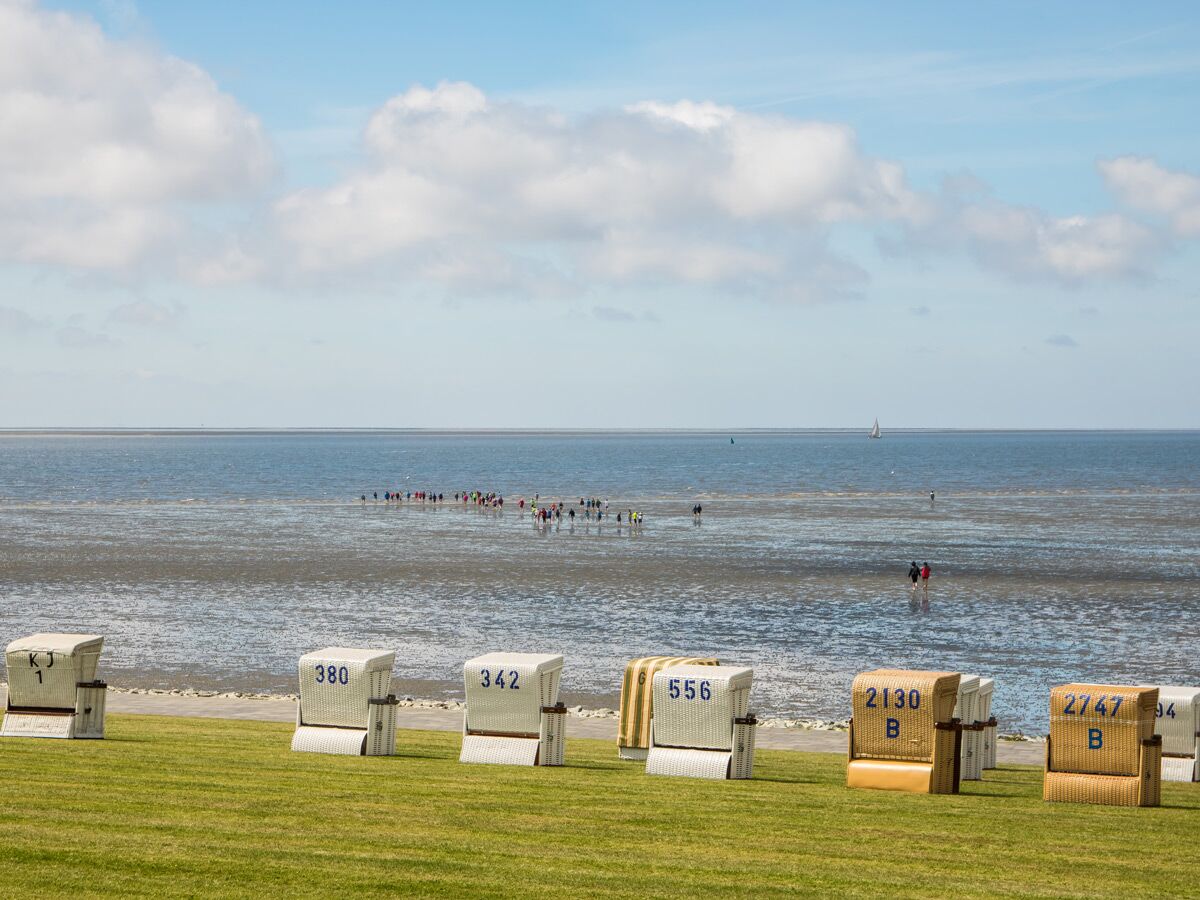Strandkörbe auf grünem Deich vor dem Wattenmeer mit vielen Wattwanderern, einem Segelboot und Horizont.