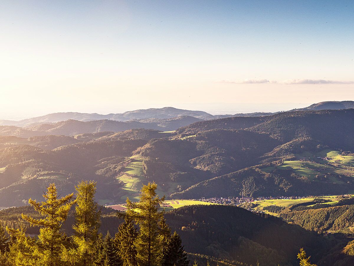 Panorama des Schwarzwaldes mit bewaldeten Bergen, grünen Tälern, einem Dorf und goldener Abendsonne.