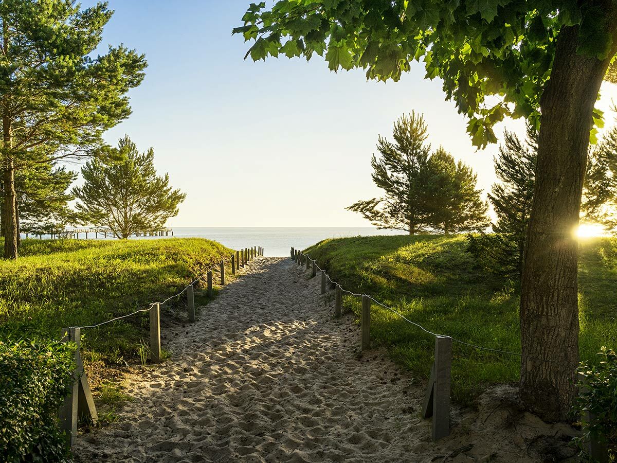 Sandweg führt durch grüne Dünen zum Meer. Im Hintergrund ist ein Pier zu sehen. Sonnenuntergang mit Lichtstrahlen durch Bäume.