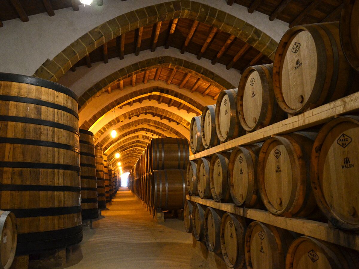 Langer Weinkeller mit Reihen von Holzfässern unter gewölbter Decke, beleuchtet von warmen Lichtern, für Weinlagerung.