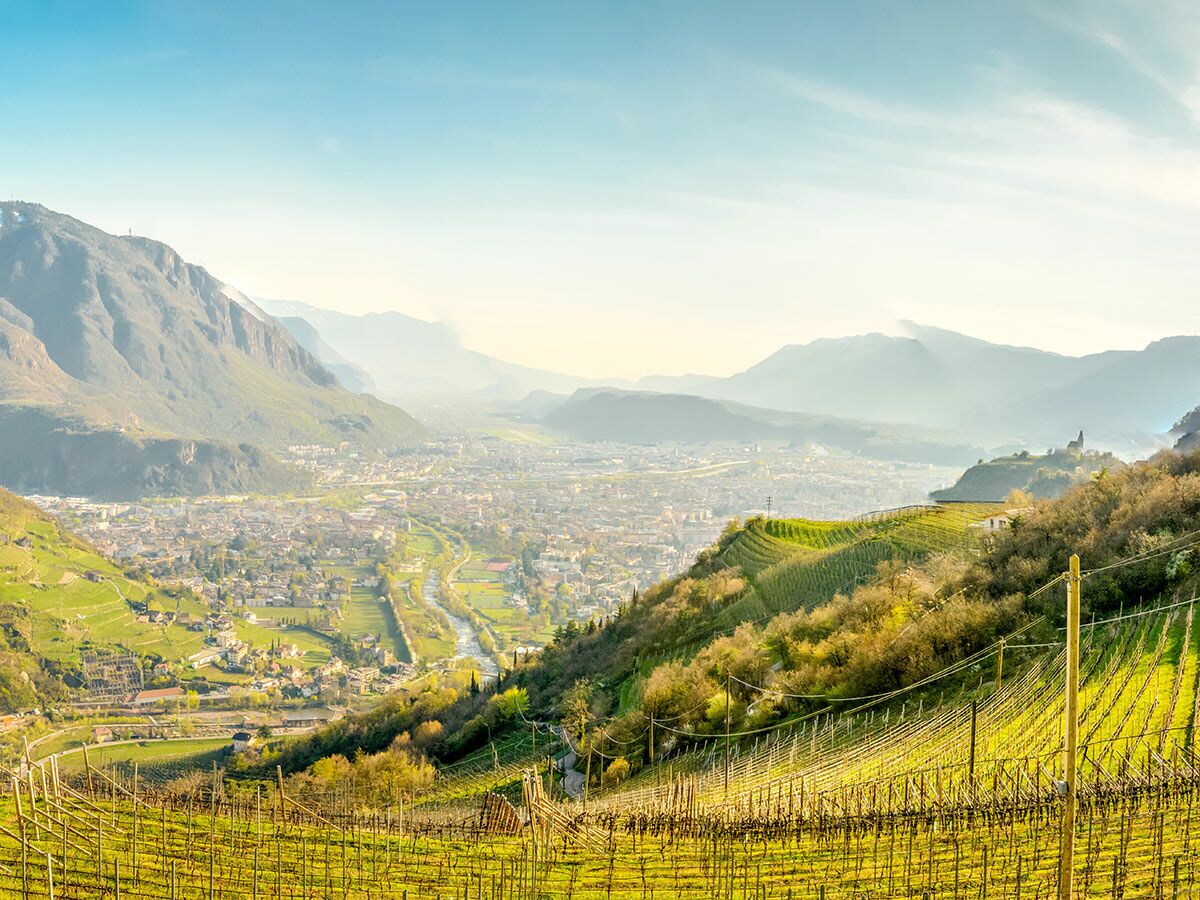 Panoramablick auf die Stadt Bozen im Tal, umgeben von sonnenbeschienenen Weinbergen und majestätischen Bergen.