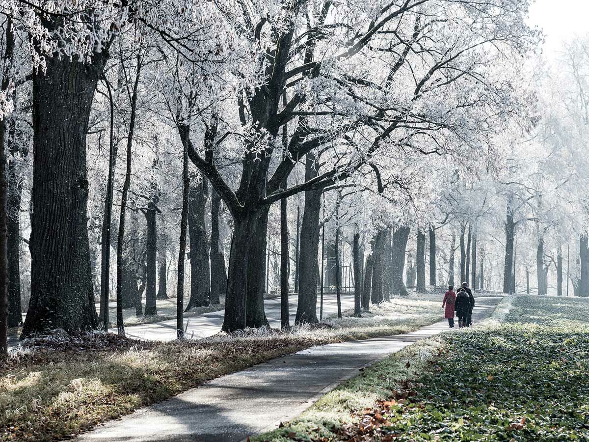 Zwei Personen spazieren auf einem gewundenen Weg durch einen verschneiten Park mit Raureif bedeckten Bäumen an einem sonnigen Wintertag.
