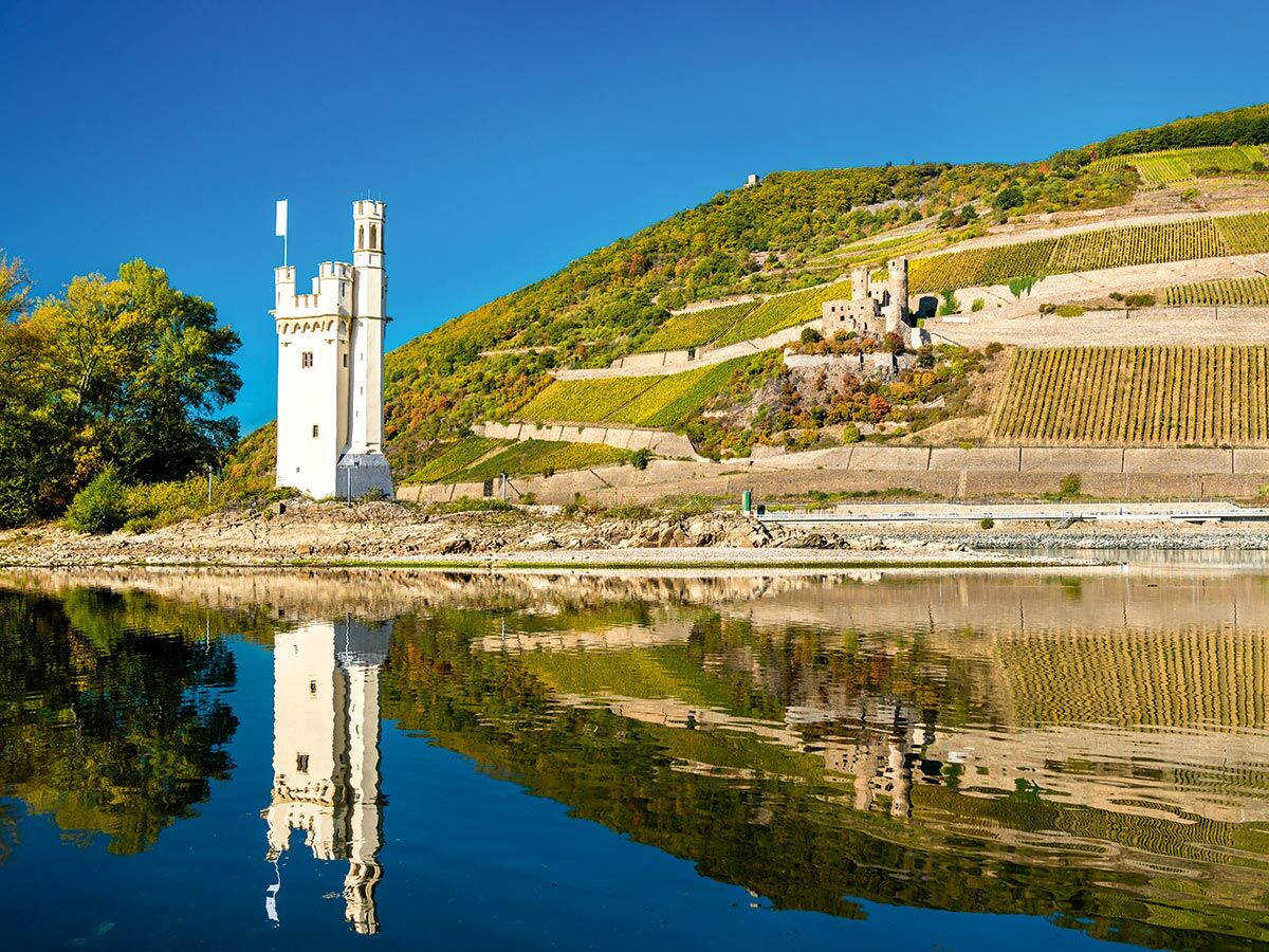 Weiße Burg Pfalzgrafenstein im Rhein bei Kaub, umgeben von herbstlichen Weinbergen und Burgruine Gutenfels, im Wasser reflektiert.