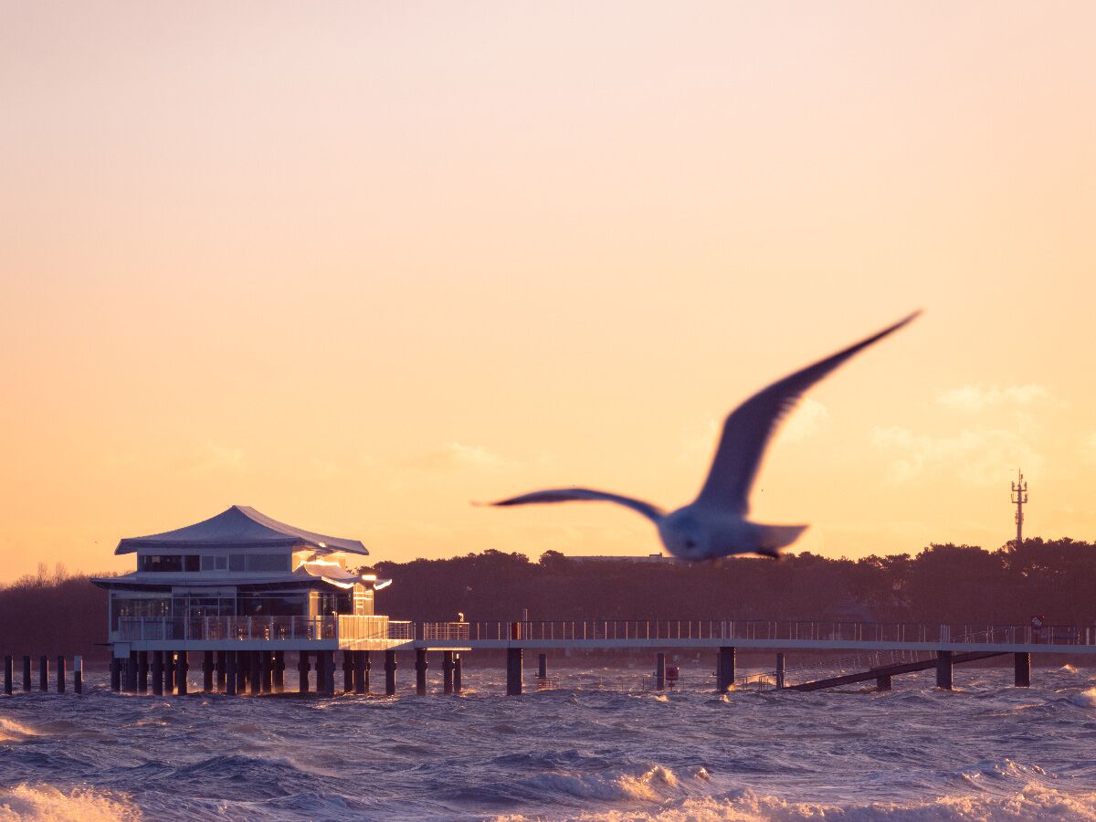 Sonnenuntergang an einer Seebrücke mit Restaurant, Wellen schlagen gegen die Pfähle und eine Möwe fliegt im Vordergrund.