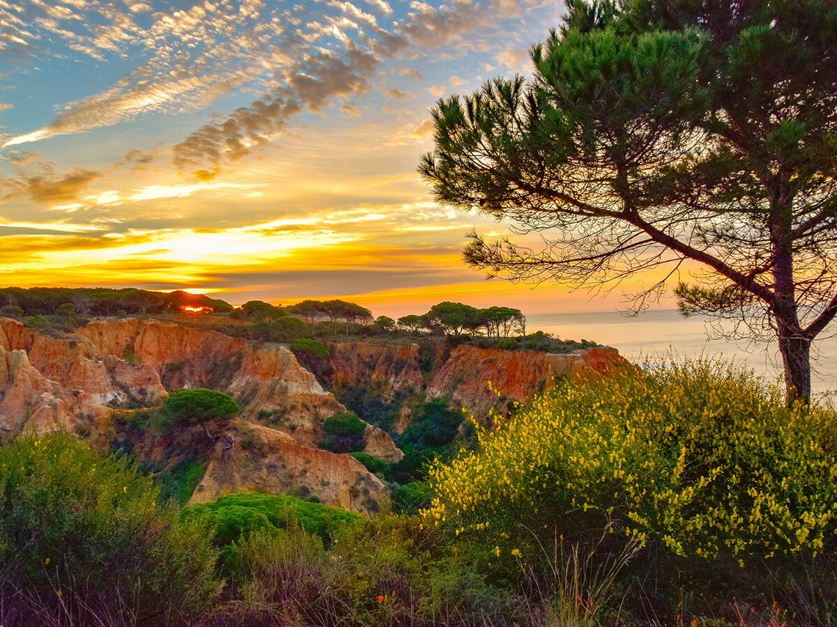 Dramatischer Sonnenuntergang über einer Küstenlandschaft mit roten Klippen, grünen Pinien und dem weiten Meer im Hintergrund.
