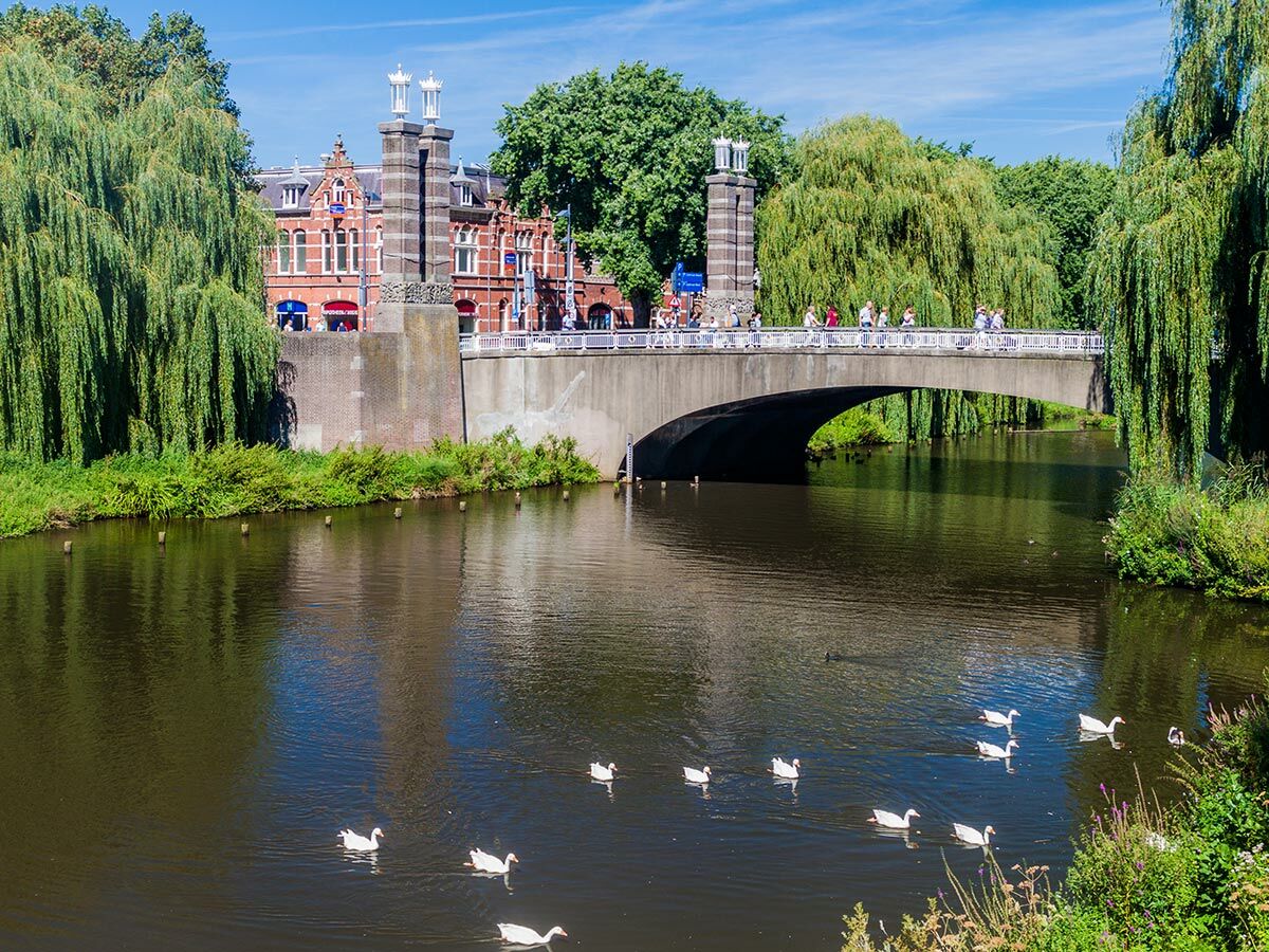 Sonnige Flusslandschaft mit historischer Bogenbrücke, Backsteingebäude, grünen Weidenbäumen und schwimmenden Schwänen in der Stadt.