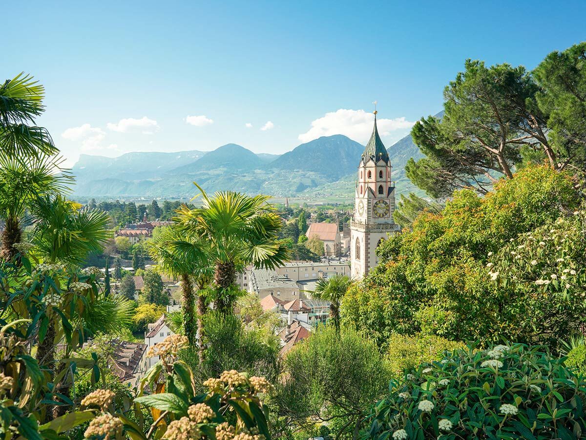 Panoramablick auf Meran in Südtirol mit der St. Nikolaus Kirche, grünen Palmen und den Alpen im Hintergrund.