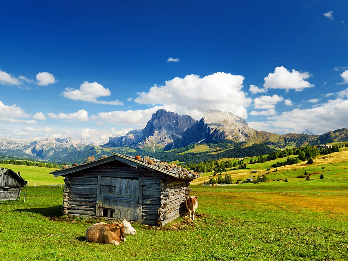 Idyllische Alpenlandschaft mit traditioneller Holzhütte, grasenden Kühen und majestätischen Dolomiten unter blauem Himmel.