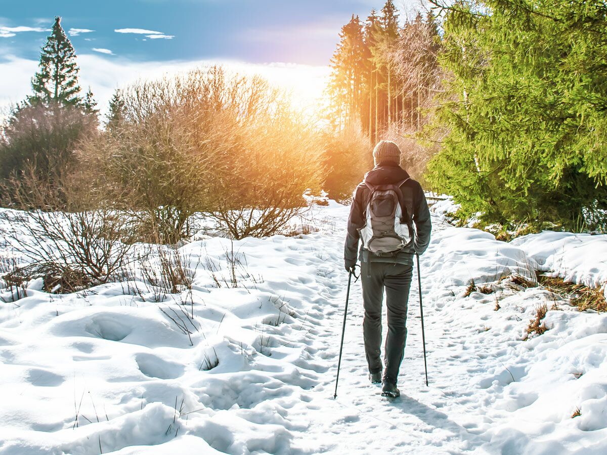 Eine Person wandert mit Rucksack und Stöcken auf einem verschneiten Weg durch einen sonnigen Winterwald.