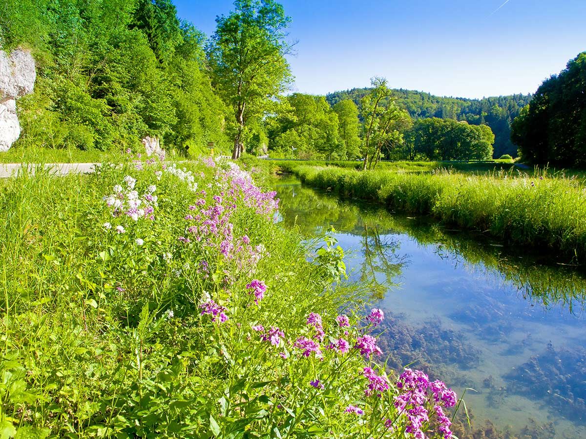 Idyllische Flusslandschaft mit üppig grünen Ufern, bunten Wildblumen (lila und weiß), klarem Wasser und bewaldeten Hügeln im Frühling bei Sonnenschein.