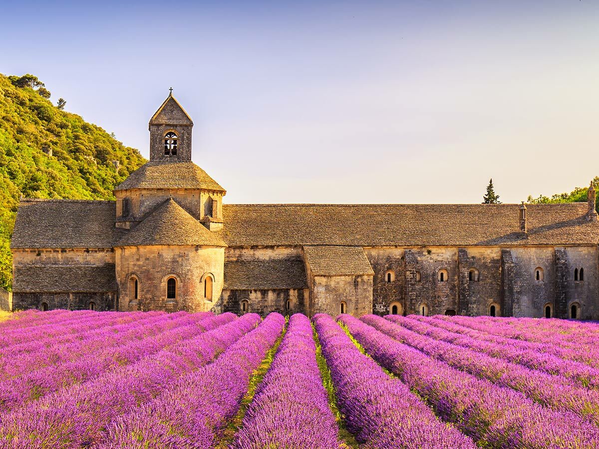 Historische Abtei Sénanque in der Provence, Frankreich, umgeben von blühenden violetten Lavendelfeldern unter blauem Himmel.