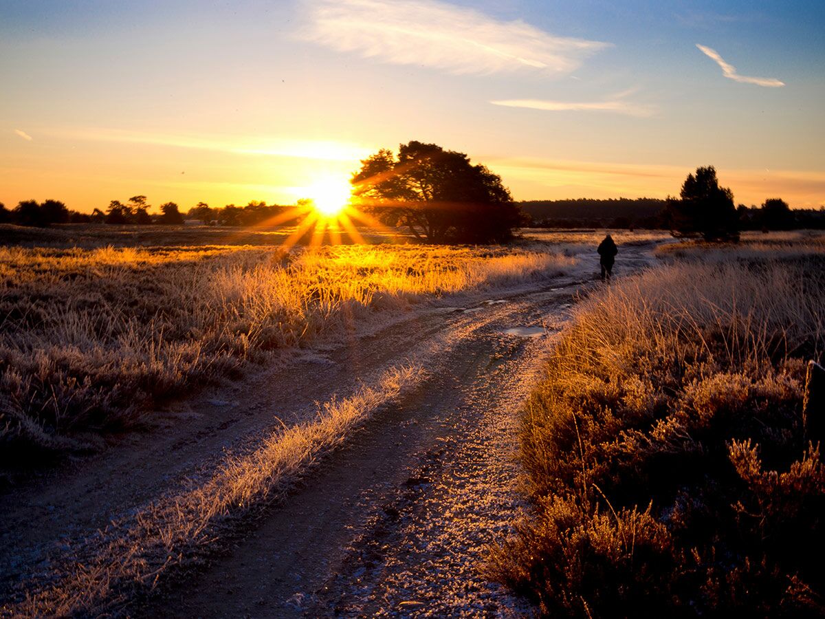 Eine Person spaziert bei Sonnenaufgang auf einem frostigen Feldweg durch gefrorenes Gras, das goldene Sonnenlicht strahlt.