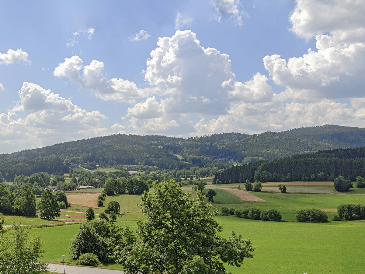 Weitläufige Landschaft mit grünen Hügeln, dichten Wäldern, Feldern, einem Dorf und blauem Himmel mit weißen Wolken.