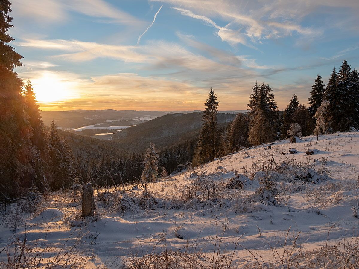 Idyllische Winterlandschaft bei Sonnenuntergang. Tiefstehende Sonne beleuchtet schneebedeckte Bäume und ein Tal mit Gewässer.