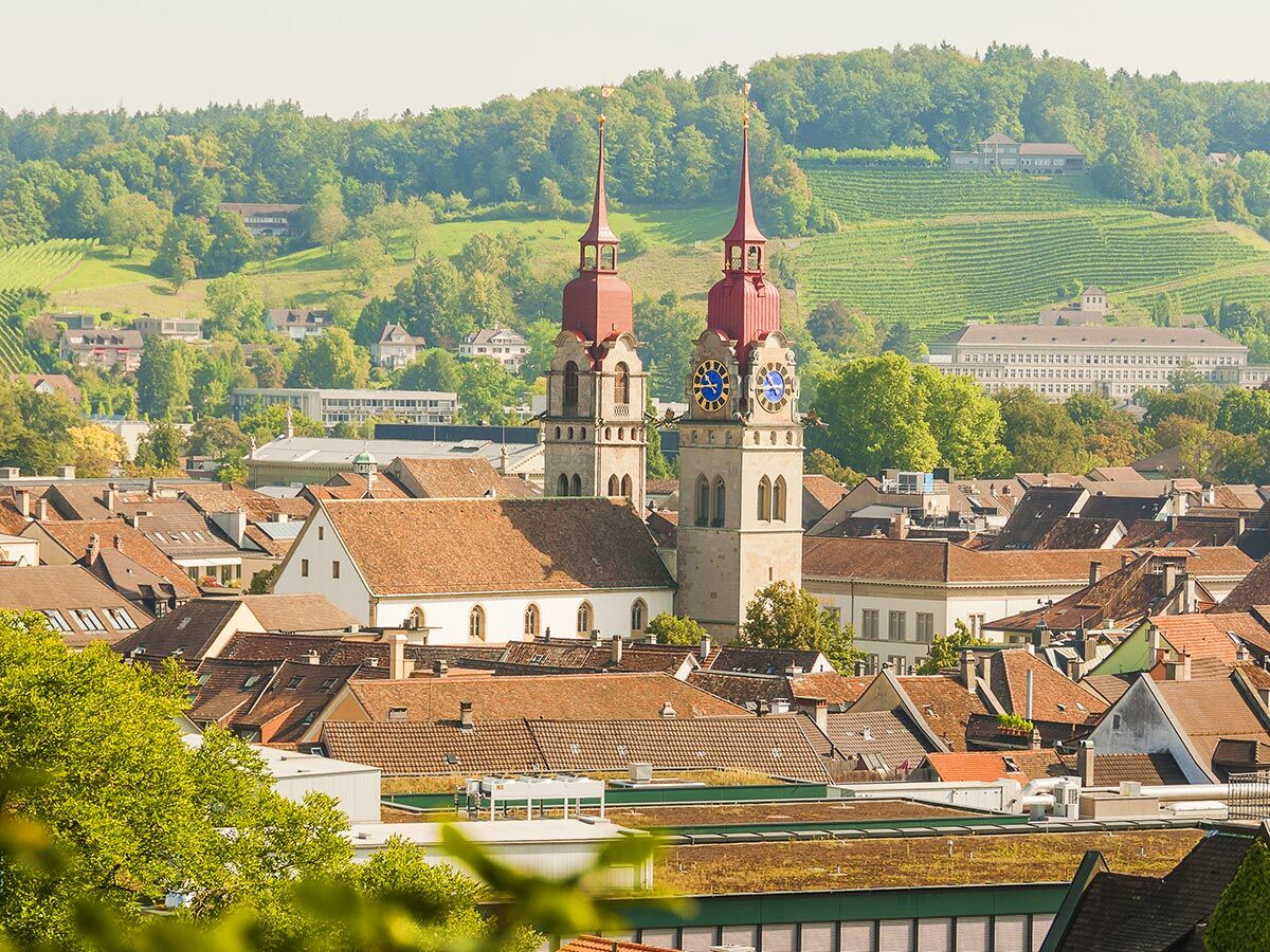 Blick auf St. Gallen: Klosterkathedrale mit roten Türmen und blauen Uhren, Stadt und grüne Hügel mit Weinbergen.