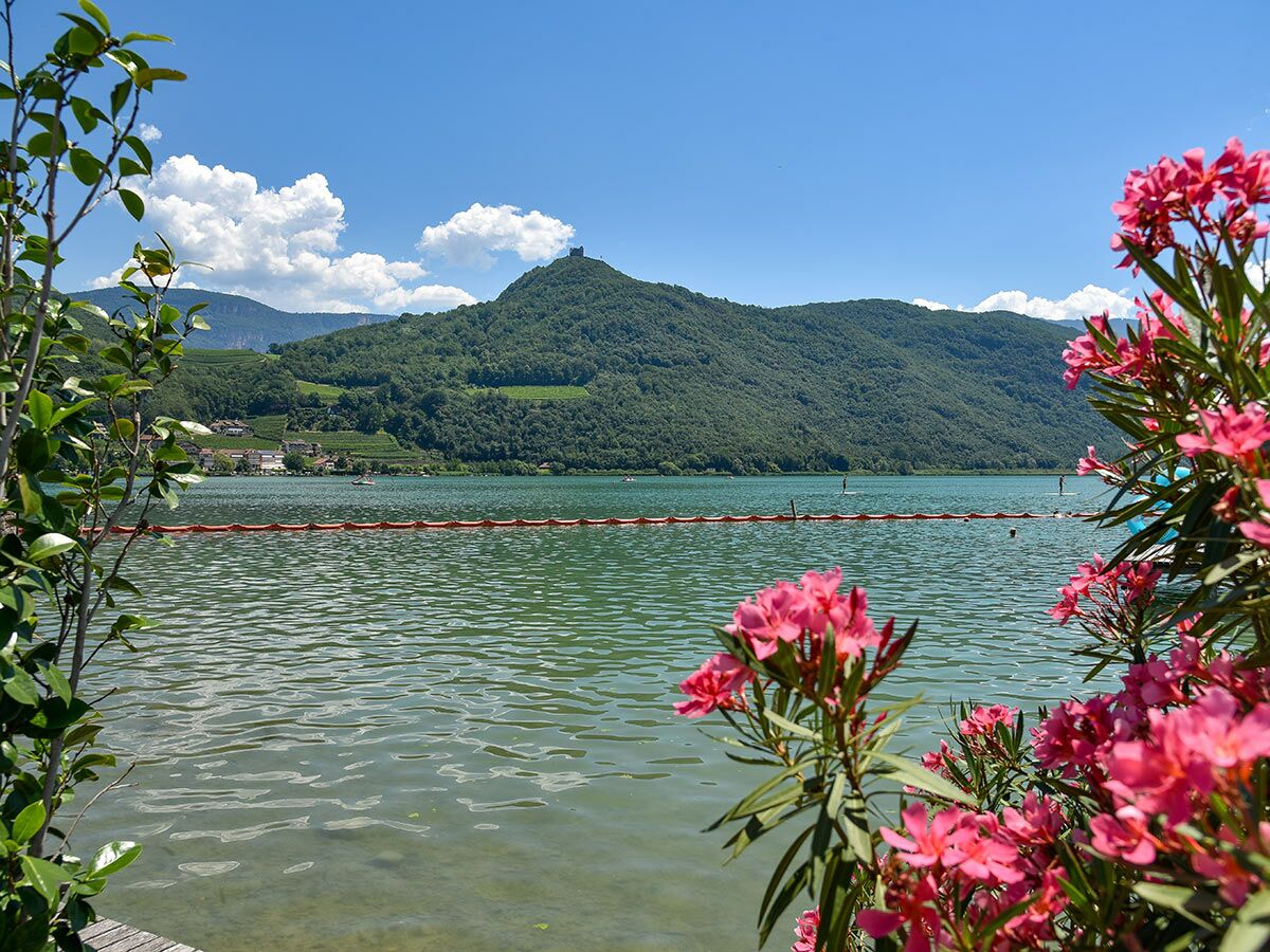 Kalterer See in Südtirol mit grünen Bergen, Schlossruine, Oleanderblüten und Paddlern im türkisfarbenen Wasser.