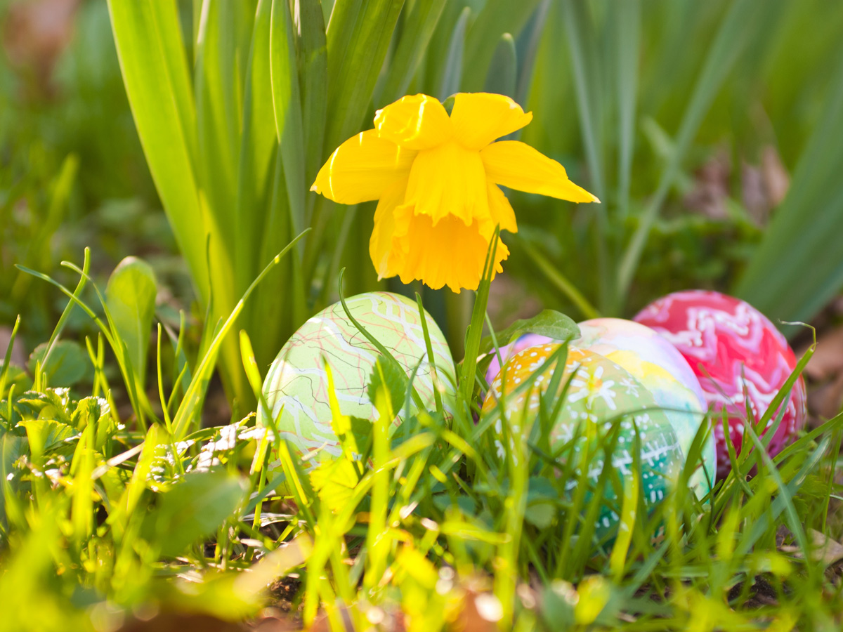 ostern-52112614.jpg