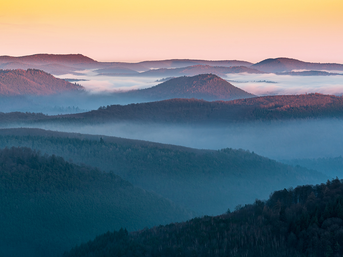 bad-duerkheim-bezaubernde-festtage-an-der-deutschen-weinstrasse-mit-ausfluegen-morgennebel-ueber-dem-pfaelzerwald-815875896.jpg