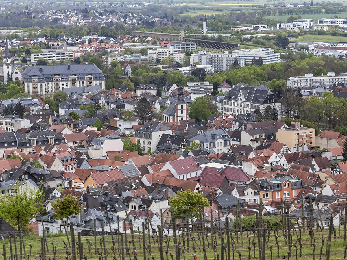 Single bad nauheim