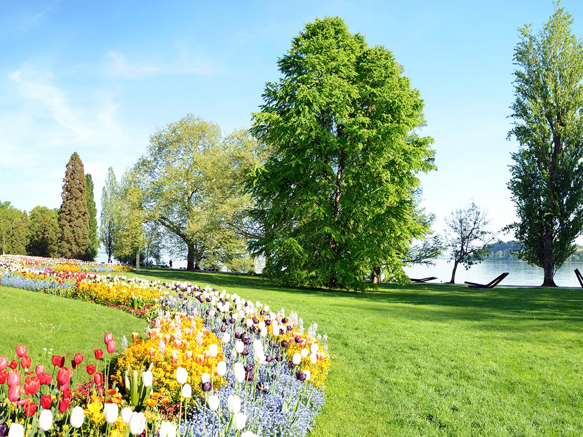 bregenzer-festspiele-das-spiel-auf-dem-see-blumeninsel-mainau-32688734.jpg