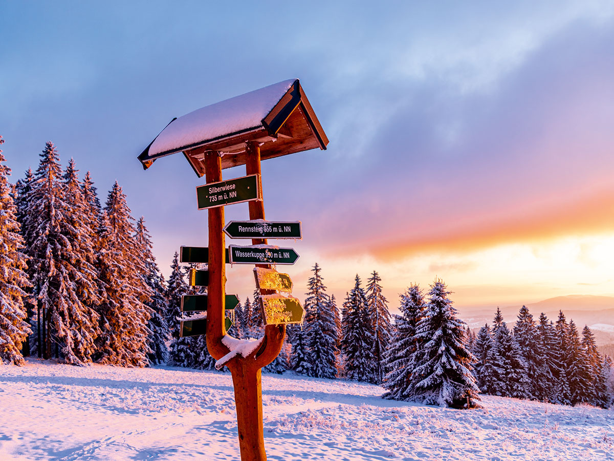 Winterwunderland im Thüringer Wald auf der Neuhöfer Wiese