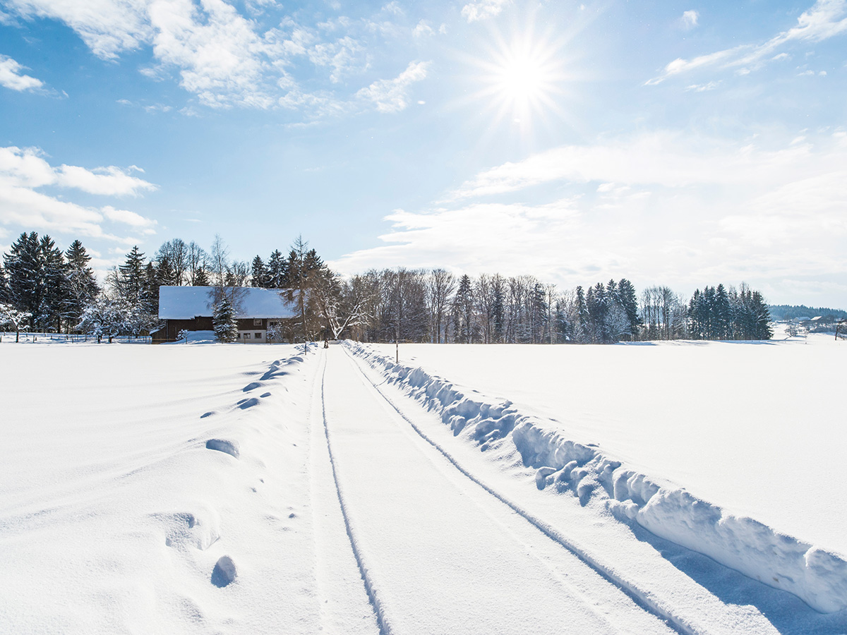 memmingen-advent-zwischen-allgaeu-und-bodensee-mit-stimmungsvollen-weihnachtsmärkten-allgaeu-winterpanorama-82491707.jpg