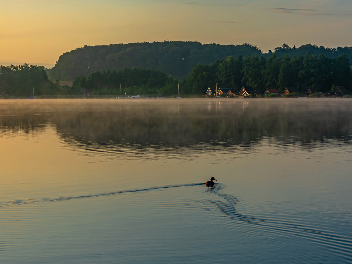 mueritz-weihnachten-an-der-mecklenburgischen-seenplatte-krakow-am-see-429518488.jpg