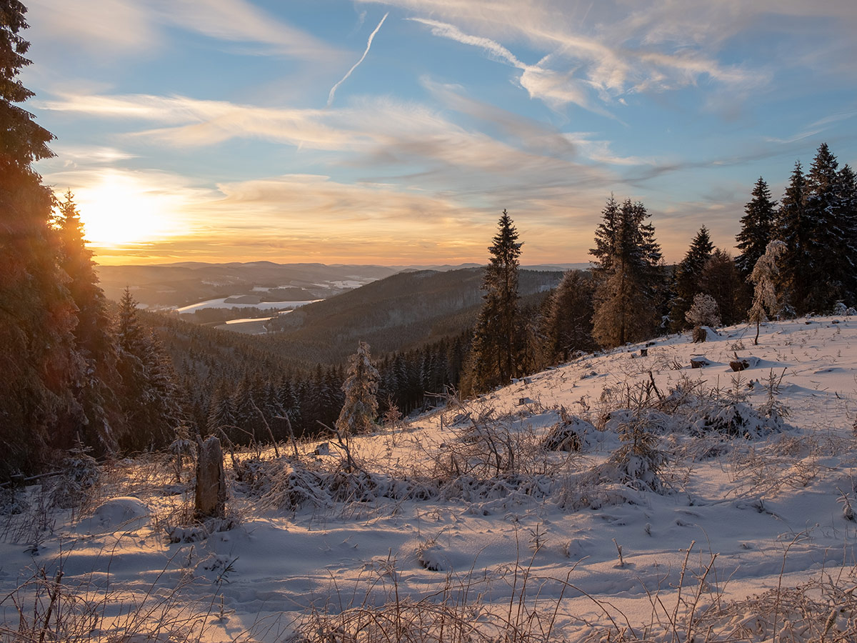 Willingen