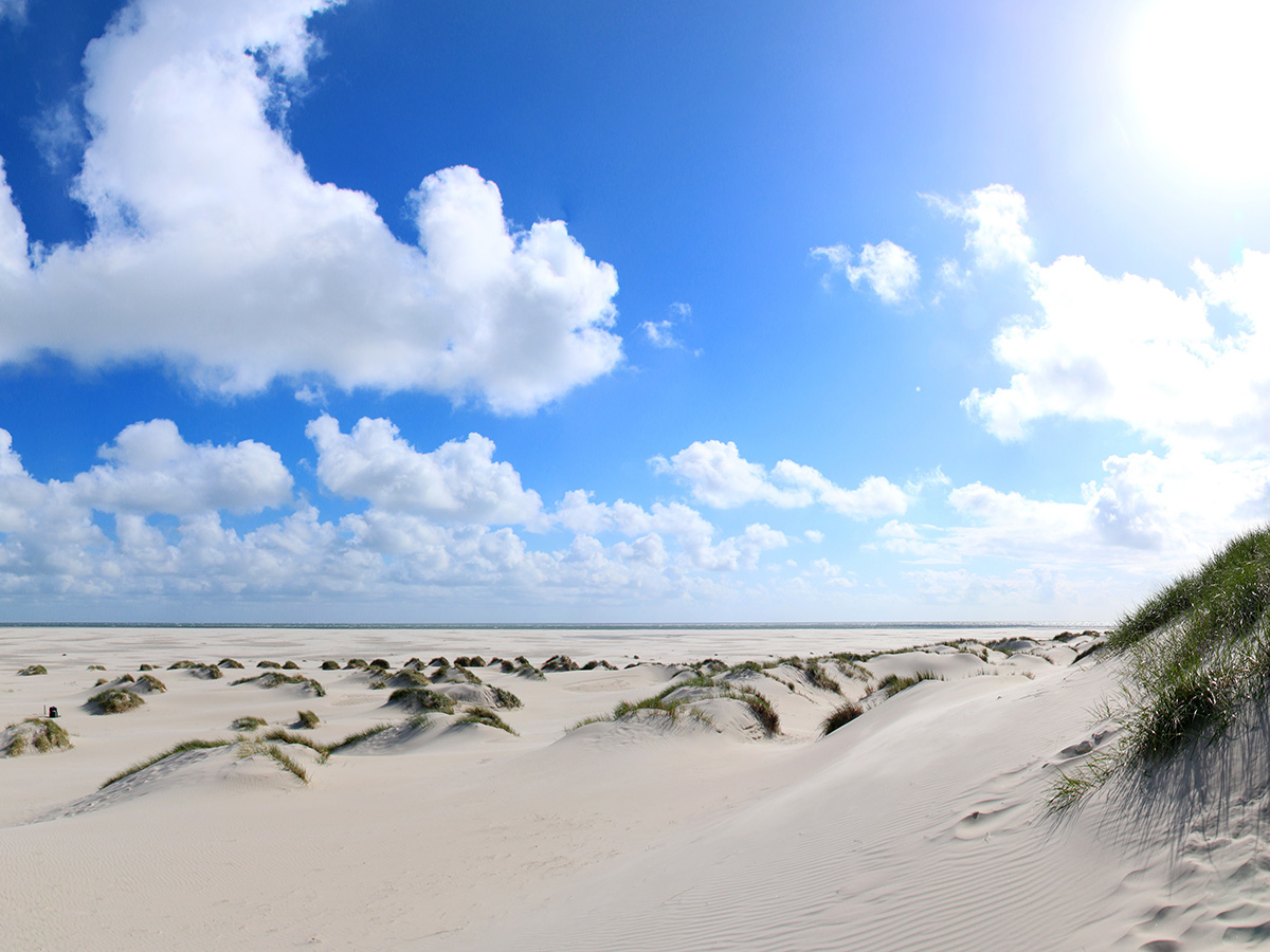 wyk-auf-foehr-wittduener-strand-auf-amrum-84443349.jpg