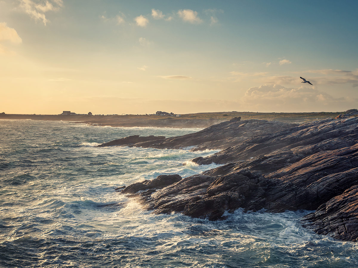 Malerische Felsküste mit Wellen, die bei Sonnenuntergang an Felsen brechen, ein Vogel fliegt über dem Meer.
