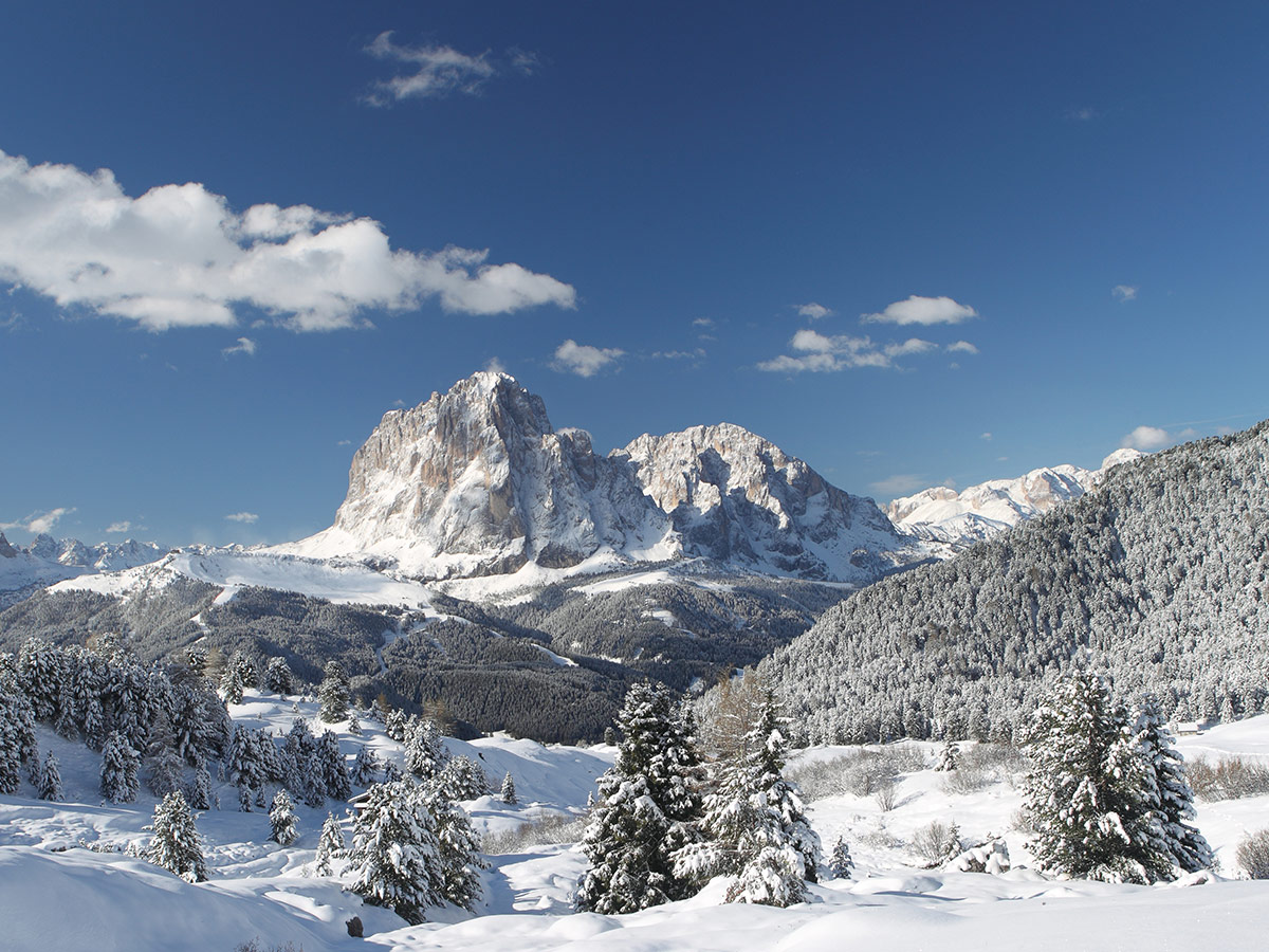 auer-suedtiroler-weihnachtserlebnisse-und-prosit-neujahr-im-etschtal-dolomiten-32387606.jpg