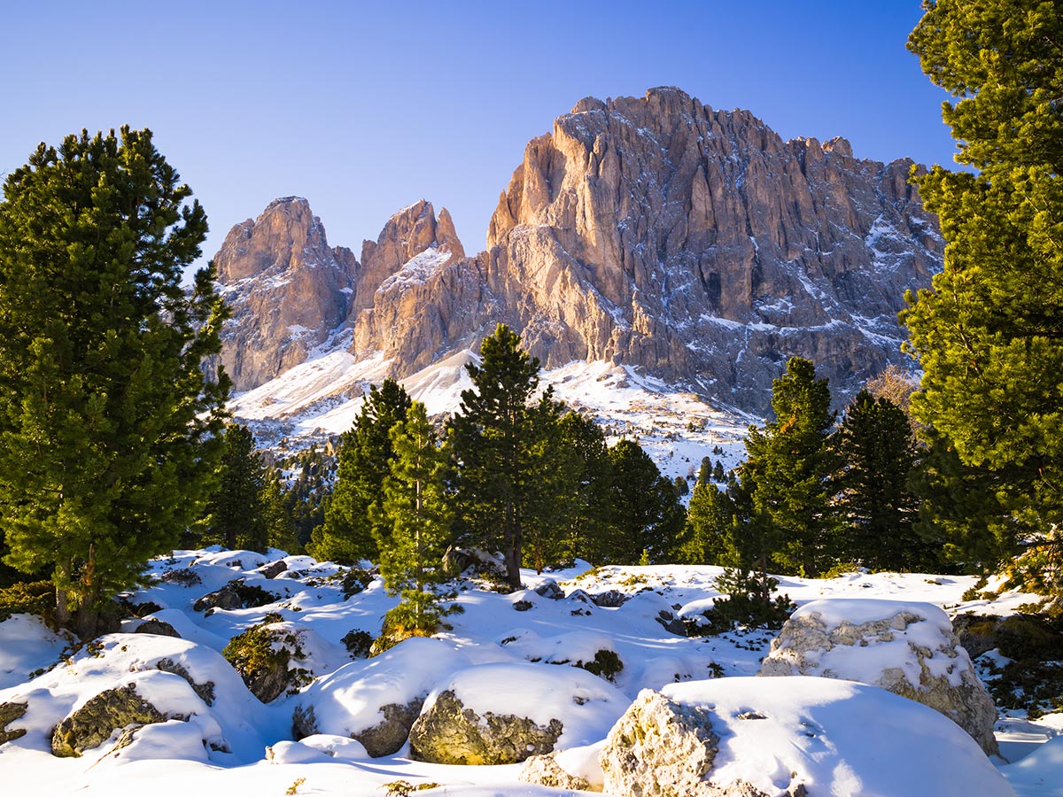 Majestätische Winterlandschaft in den Dolomiten mit schneebedeckten Felsen und grünen Kiefern vor imposanten Berggipfeln.