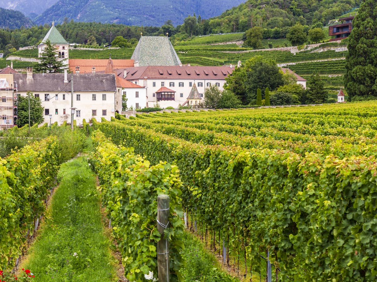 sterzing-traditionsreiches-toerggelen-in-suedtirol-brixen-233280320.jpg