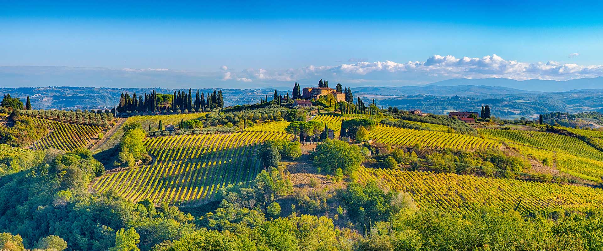 felix-reisen-busreisen-stage-italien-477504876