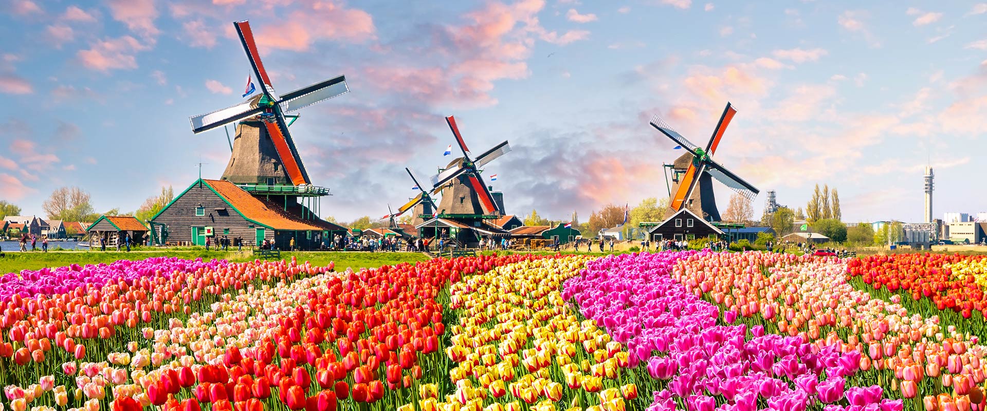 felix-reisen-busreisen-stage-niederlande-egmond-aan-zee-besuch-keukenhof-137139944