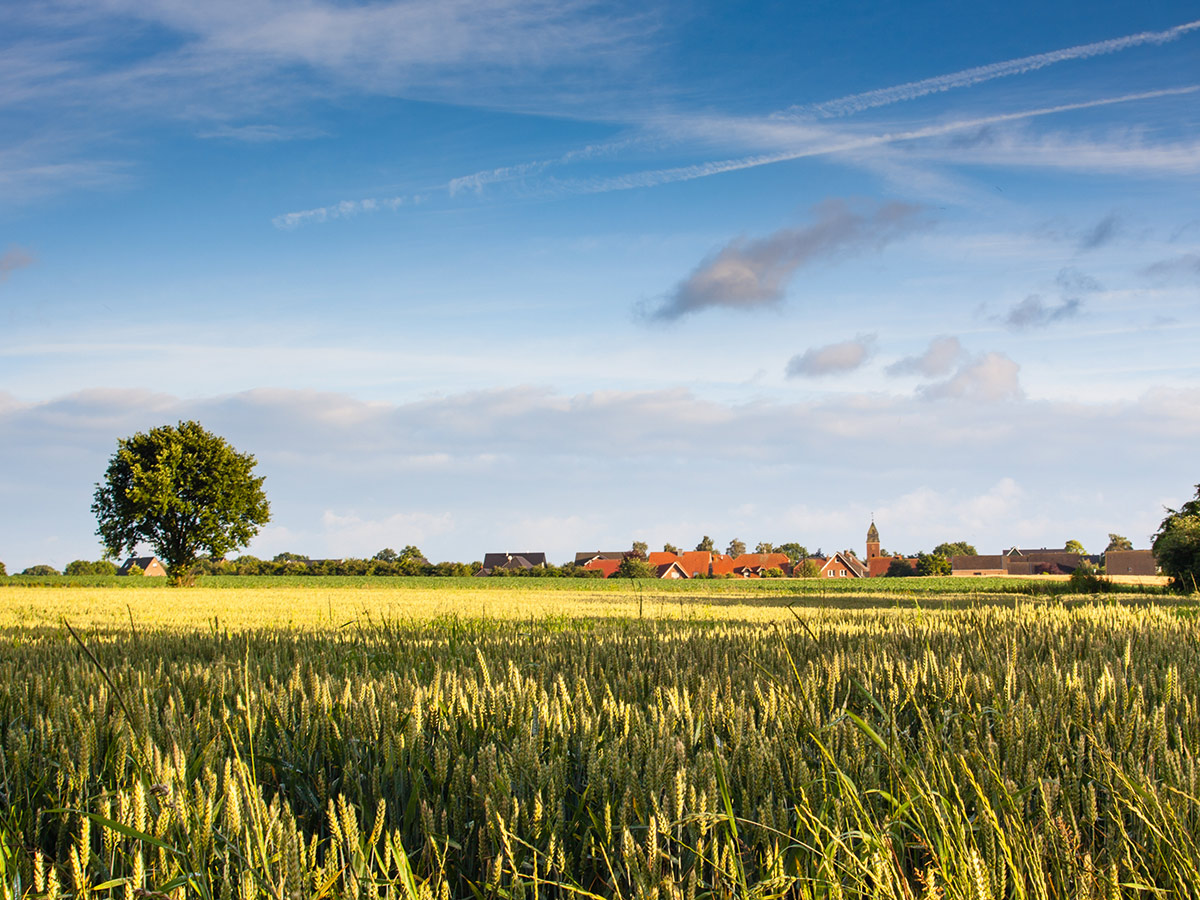 luedinghausen-ein-sommertag-im-muensterland-muensterland-71556938