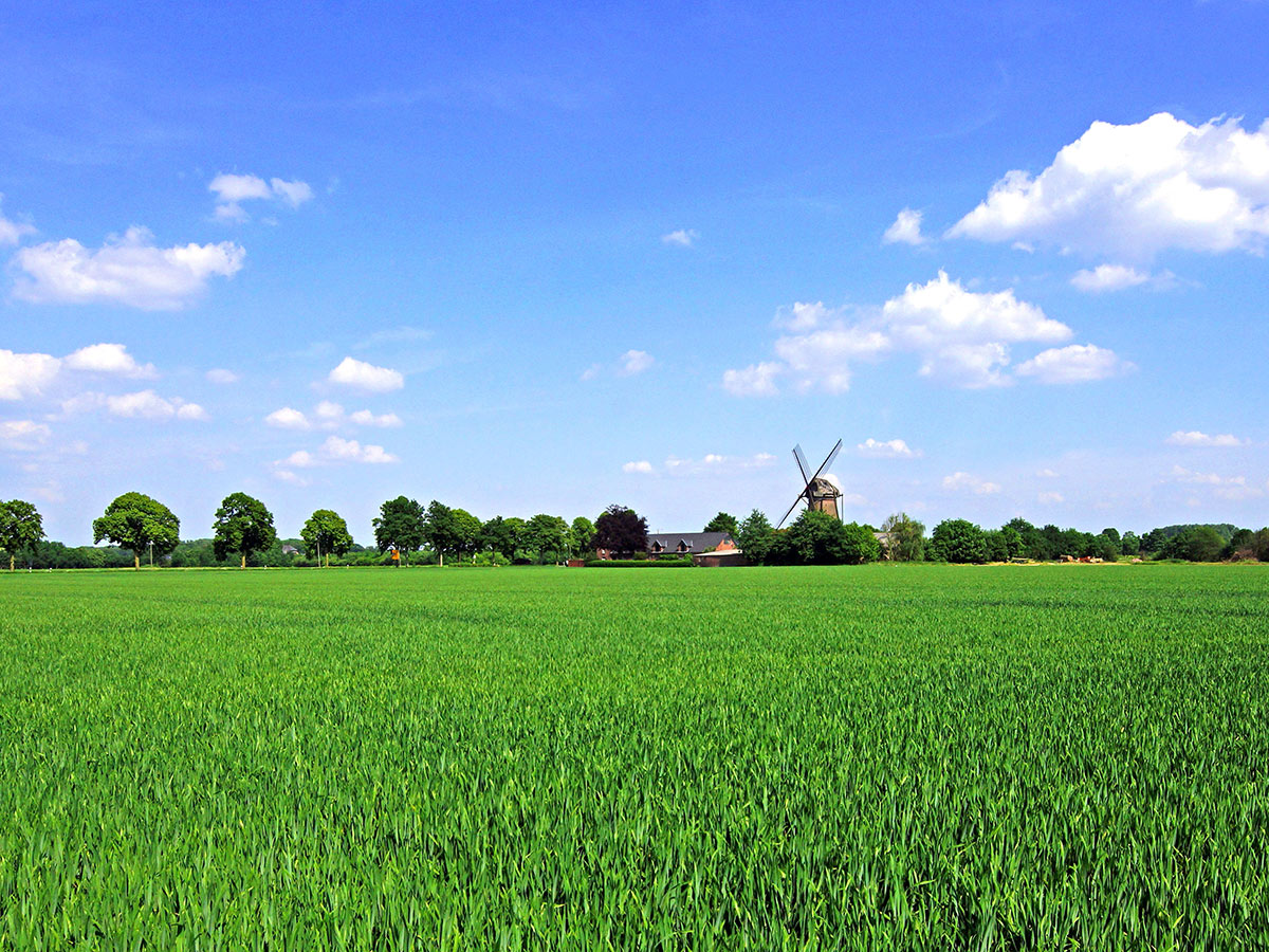malerischer-niederrhein-entdeckungen-in-emmerich-und-rees-kevelaer-am-niederrhein-205186943.jpg